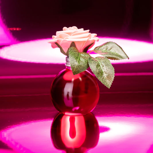 Cosmopolitan Rose 150ml